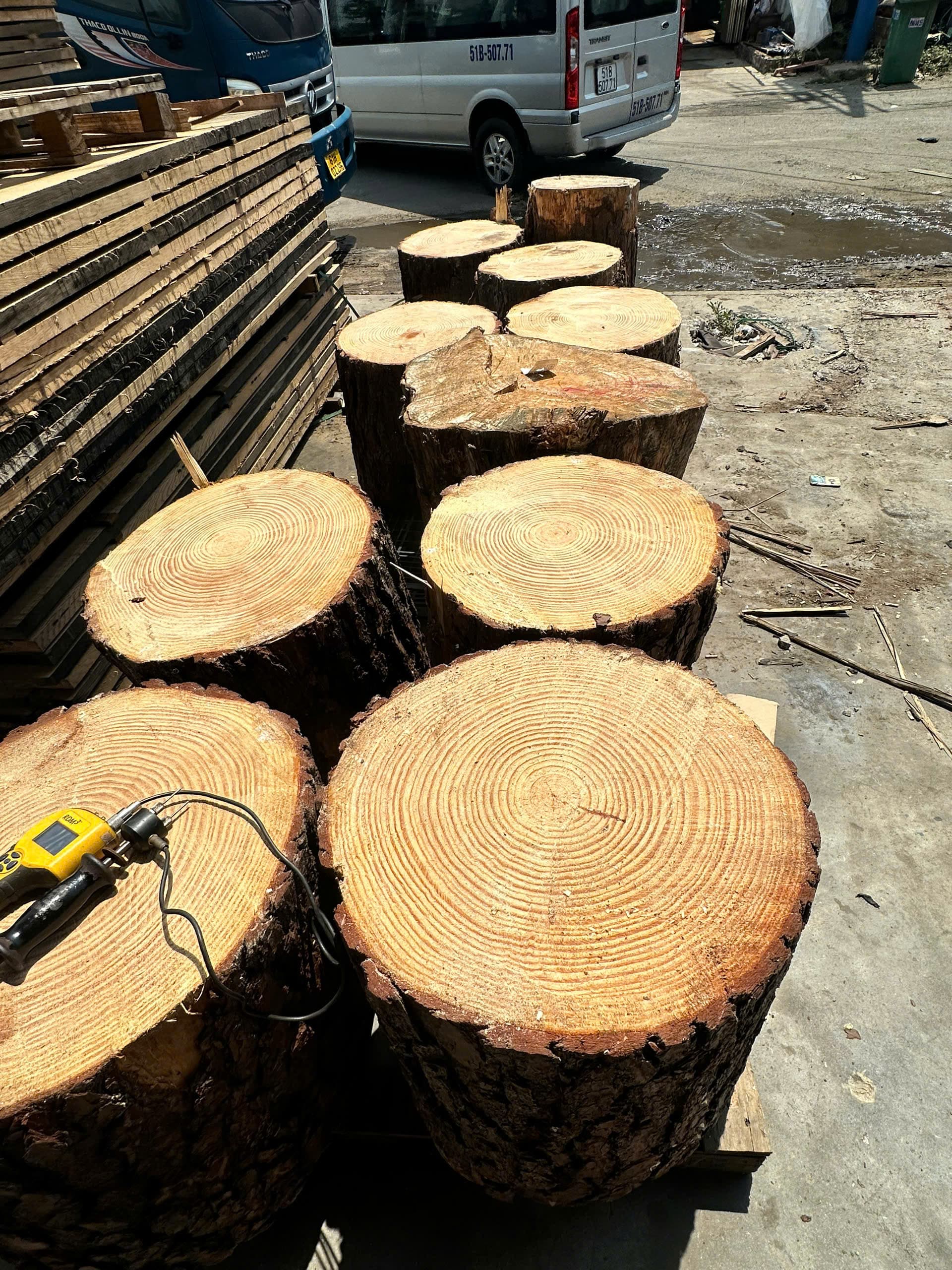 High-frequency drying kiln at customer facility